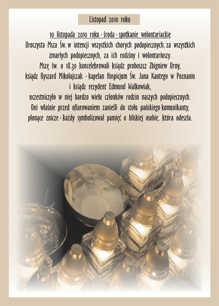 Kronika Stowarzyszenia – spotkanie wolontariackie 10.11.2010 (zdjęcie 1)