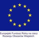Siłownia zewnętrzna dla mieszkańców Obornik (zdjęcie 1)